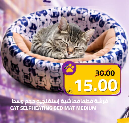 available at أسواق أسترا in مملكة العربية السعودية, السعودية, سعودية - تبوك