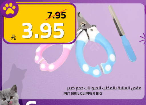available at أسواق أسترا in مملكة العربية السعودية, السعودية, سعودية - تبوك