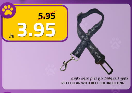available at أسواق أسترا in مملكة العربية السعودية, السعودية, سعودية - تبوك
