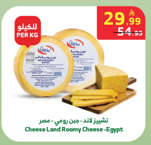 available at Al Raya in KSA, Saudi Arabia, Saudi - Tabuk