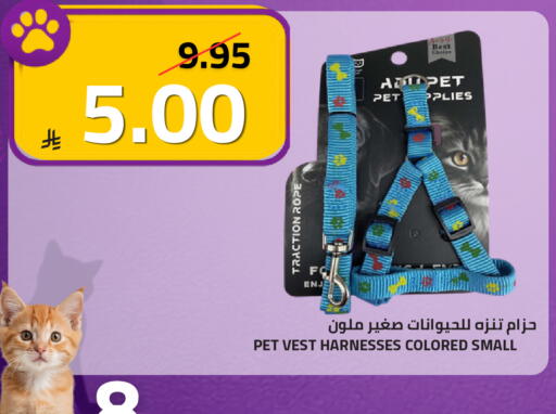 available at أسواق أسترا in مملكة العربية السعودية, السعودية, سعودية - تبوك