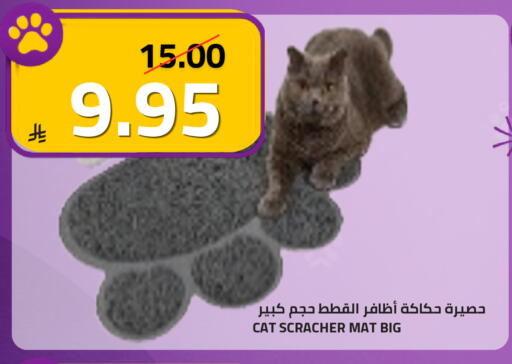 available at أسواق أسترا in مملكة العربية السعودية, السعودية, سعودية - تبوك