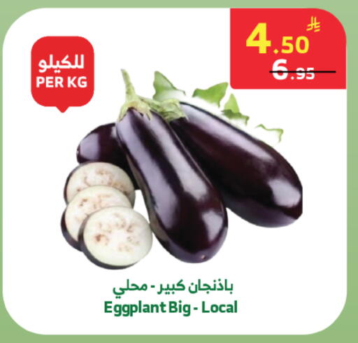 Eggplant available at الراية in مملكة العربية السعودية, السعودية, سعودية - تبوك