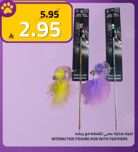 available at أسواق أسترا in مملكة العربية السعودية, السعودية, سعودية - تبوك