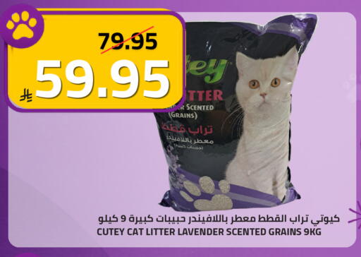 available at أسواق أسترا in مملكة العربية السعودية, السعودية, سعودية - تبوك