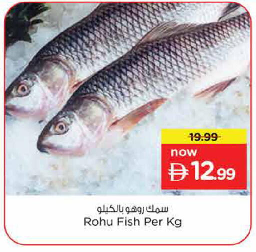 available at Nesto Hypermarket in UAE - Dubai
