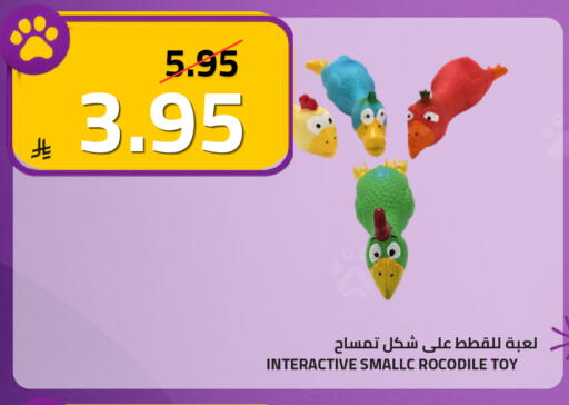 available at أسواق أسترا in مملكة العربية السعودية, السعودية, سعودية - تبوك