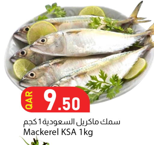 available at Dana Market in Qatar - Al Khor