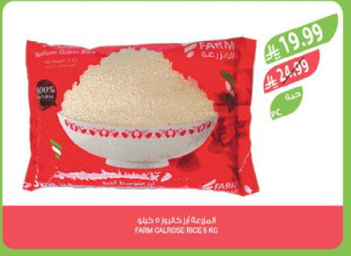 available at Farm  in KSA, Saudi Arabia, Saudi - Tabuk