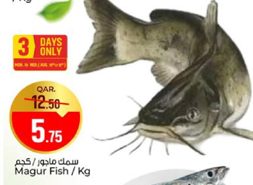 available at باريس هايبرماركت in قطر - الخور