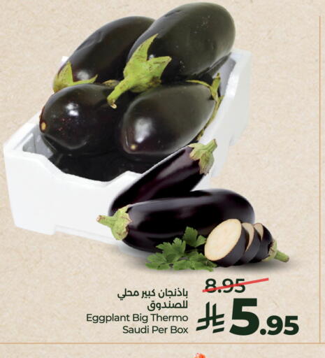 Eggplant from Saudi Arabia available at LULU Hypermarket in KSA, Saudi Arabia, Saudi - Riyadh