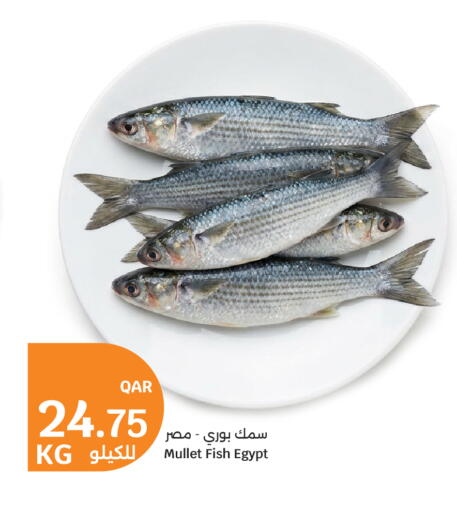 available at City Hypermarket in Qatar - Doha