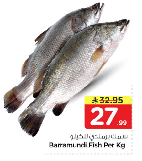 available at نستو in مملكة العربية السعودية, السعودية, سعودية - الخرج