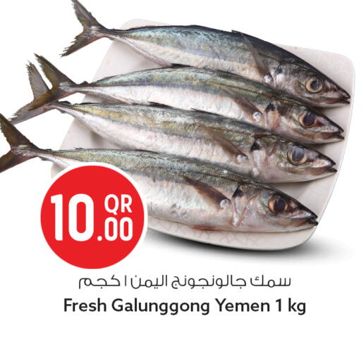available at سفاري هايبر ماركت in قطر - الدوحة