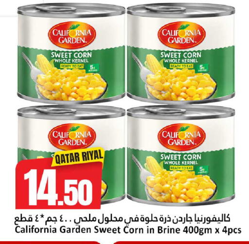 available at دانة هايبرماركت in قطر - الضعاين