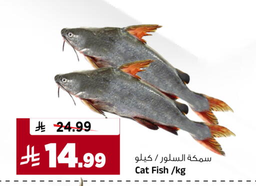 available at Al Madina Hypermarket in KSA, Saudi Arabia, Saudi - Riyadh
