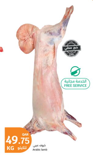 available at سيتي هايبرماركت in قطر - الضعاين