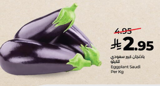 Eggplant from Saudi Arabia available at لولو هايبرماركت in مملكة العربية السعودية, السعودية, سعودية - خميس مشيط
