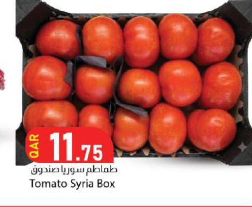Tomato from Syria available at دانا ماركت in قطر - الوكرة