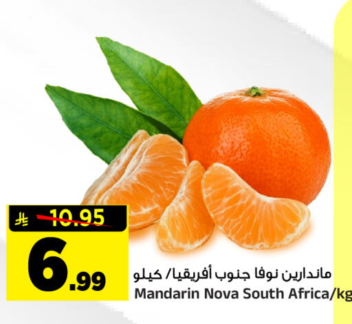 Mandarin from South Africa available at Al Madina Hypermarket in KSA, Saudi Arabia, Saudi - Riyadh