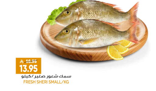 available at Grand Hyper in KSA, Saudi Arabia, Saudi - Riyadh