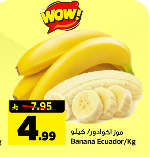 Banana from Ecuador available at Al Madina Hypermarket in KSA, Saudi Arabia, Saudi - Riyadh