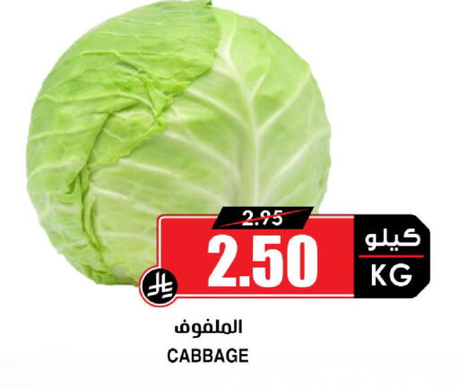 Cabbage available at أسواق النخبة in مملكة العربية السعودية, السعودية, سعودية - خميس مشيط