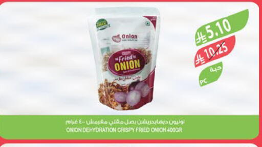 Onion available at المزرعة in مملكة العربية السعودية, السعودية, سعودية - تبوك