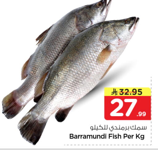 available at نستو in مملكة العربية السعودية, السعودية, سعودية - الرياض
