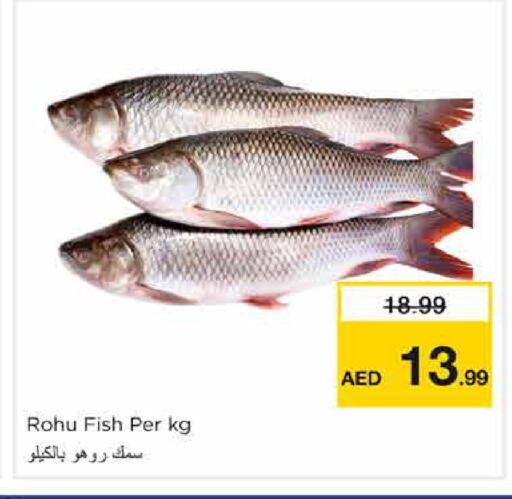 available at نستو هايبرماركت in الإمارات العربية المتحدة , الامارات - الشارقة / عجمان
