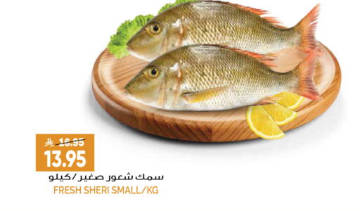 available at Grand Hyper in KSA, Saudi Arabia, Saudi - Riyadh