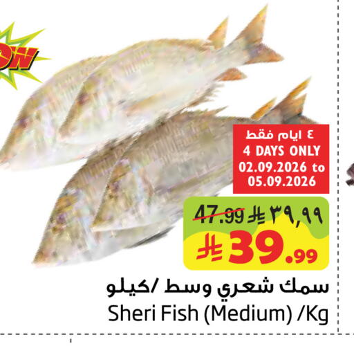 available at ليان هايبر in مملكة العربية السعودية, السعودية, سعودية - الخبر‎