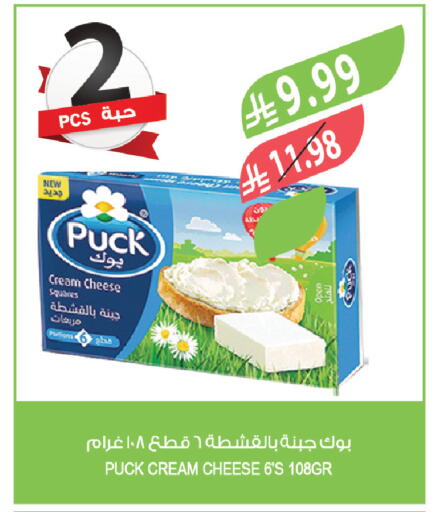 available at المزرعة in مملكة العربية السعودية, السعودية, سعودية - تبوك