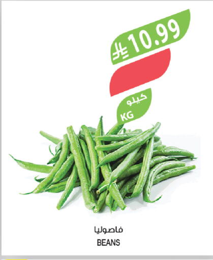 available at Farm  in KSA, Saudi Arabia, Saudi - Riyadh