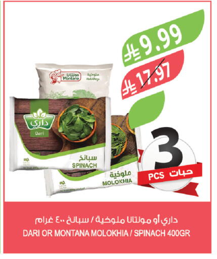 Spinach available at Farm  in KSA, Saudi Arabia, Saudi - Tabuk