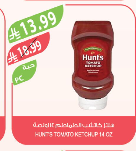 Tomato available at Farm  in KSA, Saudi Arabia, Saudi - Al-Kharj