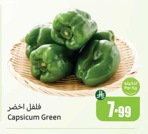 Capsicum available at أسواق عبد الله العثيم in مملكة العربية السعودية, السعودية, سعودية - المدينة المنورة
