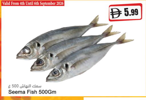 available at المايا سوبرماركت in الإمارات العربية المتحدة , الامارات - دبي