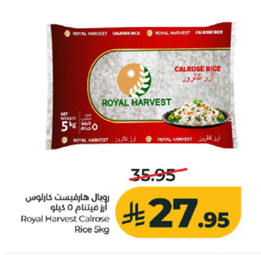 available at لولو هايبرماركت in مملكة العربية السعودية, السعودية, سعودية - خميس مشيط