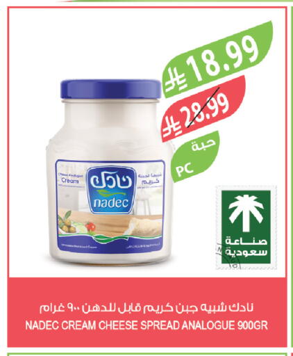 available at المزرعة in مملكة العربية السعودية, السعودية, سعودية - تبوك