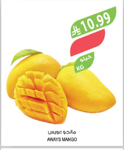 Mango available at Farm  in KSA, Saudi Arabia, Saudi - Al-Kharj