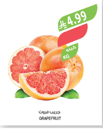 available at المزرعة in مملكة العربية السعودية, السعودية, سعودية - تبوك