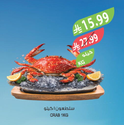 available at المزرعة in مملكة العربية السعودية, السعودية, سعودية - الخرج