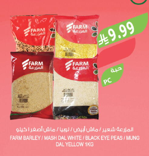 Peas available at Farm  in KSA, Saudi Arabia, Saudi - Tabuk