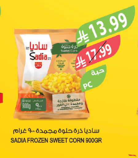 available at Farm  in KSA, Saudi Arabia, Saudi - Tabuk