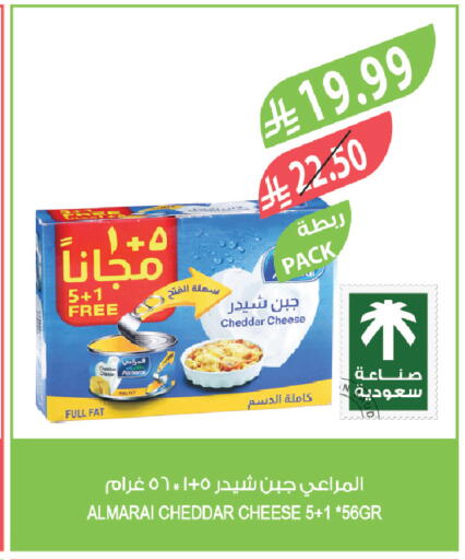 available at المزرعة in مملكة العربية السعودية, السعودية, سعودية - تبوك