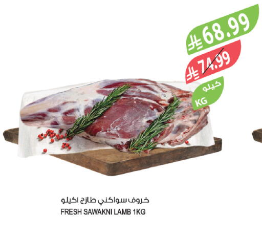 available at Farm  in KSA, Saudi Arabia, Saudi - Tabuk