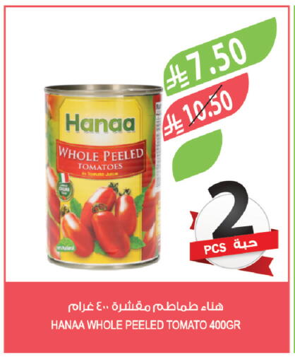 Tomato available at Farm  in KSA, Saudi Arabia, Saudi - Al-Kharj
