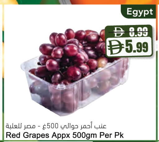 Grapes from Egypt available at المايا سوبرماركت in الإمارات العربية المتحدة , الامارات - دبي