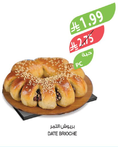 Date available at Farm  in KSA, Saudi Arabia, Saudi - Tabuk